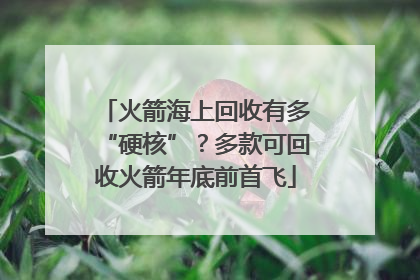 火箭海上回收有多“硬核”？多款可回收火箭年底前首飞