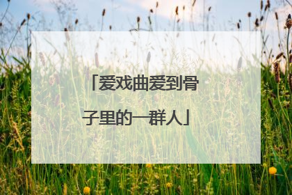 爱戏曲爱到骨子里的一群人