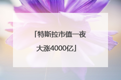 特斯拉市值一夜大涨4000亿