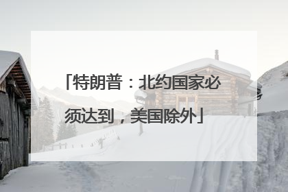 特朗普：北约国家必须达到，美国除外