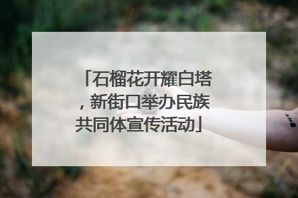 石榴花开耀白塔，新街口举办民族共同体宣传活动