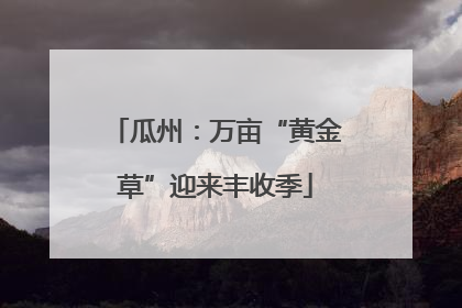 瓜州：万亩“黄金草”迎来丰收季