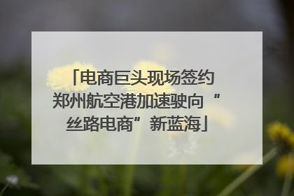 电商巨头现场签约 郑州航空港加速驶向“丝路电商”新蓝海