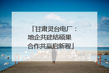 甘肃灵台电厂：地企共建结硕果 合作共赢启新程
