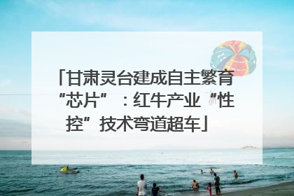 甘肃灵台建成自主繁育“芯片”：红牛产业“性控”技术弯道超车