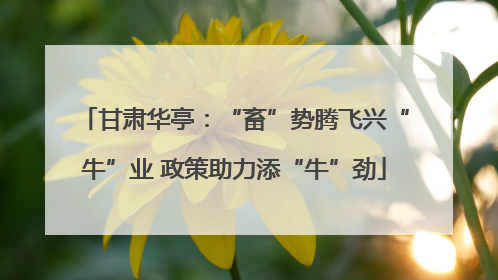 甘肃华亭：“畜”势腾飞兴“牛”业 政策助力添“牛”劲