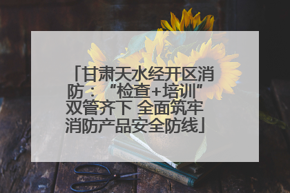 甘肃天水经开区消防：“检查+培训”双管齐下 全面筑牢消防产品安全防线
