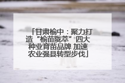 甘肃榆中：聚力打造“榆苗陇萃”四大种业育苗品牌 加速农业强县转型步伐