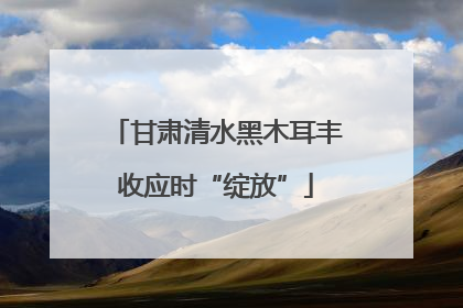 甘肃清水黑木耳丰收应时“绽放”