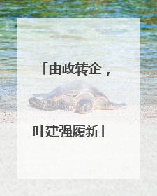 由政转企，叶建强履新