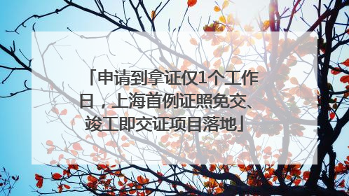 申请到拿证仅1个工作日，上海首例证照免交、竣工即交证项目落地