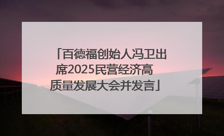 百德福创始人冯卫出席2025民营经济高质量发展大会并发言