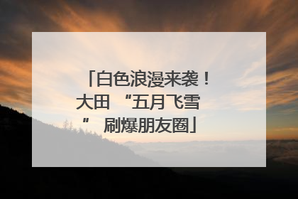 白色浪漫来袭！大田 “五月飞雪” 刷爆朋友圈