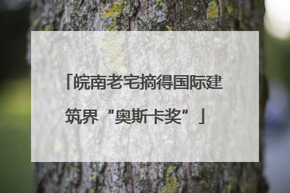 皖南老宅摘得国际建筑界“奥斯卡奖”