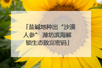 盐碱地种出“沙漠人参” 潍坊滨海解锁生态致富密码