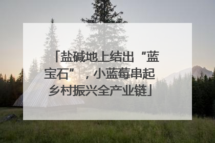 盐碱地上结出“蓝宝石”，小蓝莓串起乡村振兴全产业链
