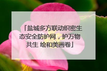 盐城多方联动织密生态安全防护网，护万物共生 绘和美画卷