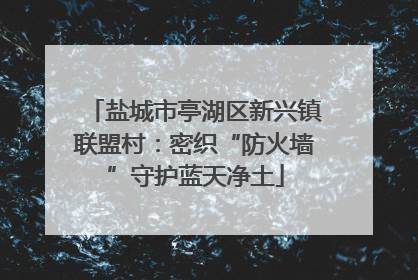 盐城市亭湖区新兴镇联盟村：密织“防火墙”守护蓝天净土
