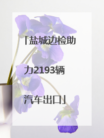 盐城边检助力2193辆汽车出口