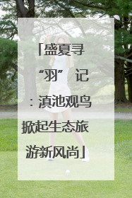 盛夏寻 “羽” 记：滇池观鸟掀起生态旅游新风尚