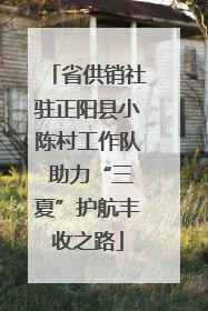 省供销社驻正阳县小陈村工作队 助力“三夏”护航丰收之路