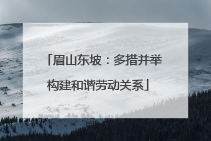 眉山东坡：多措并举构建和谐劳动关系