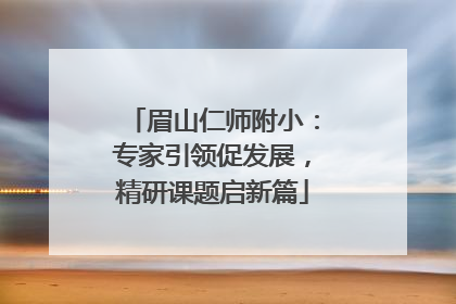 眉山仁师附小：专家引领促发展，精研课题启新篇