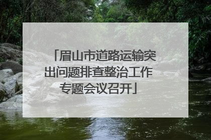 眉山市道路运输突出问题排查整治工作专题会议召开
