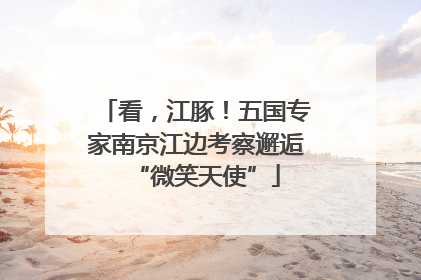 看，江豚！五国专家南京江边考察邂逅“微笑天使”