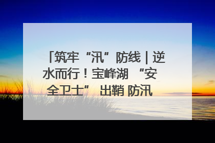 筑牢“汛”防线｜逆水而行！宝峰湖 “安全卫士” 出鞘 防汛应急再添硬核力量