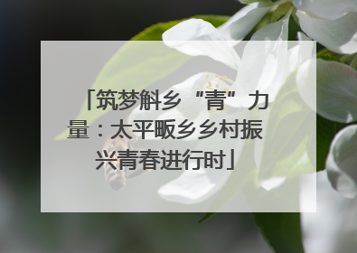 筑梦斛乡“青”力量：太平畈乡乡村振兴青春进行时