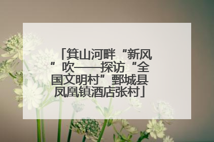 箕山河畔“新风”吹——探访“全国文明村”鄄城县凤凰镇酒店张村