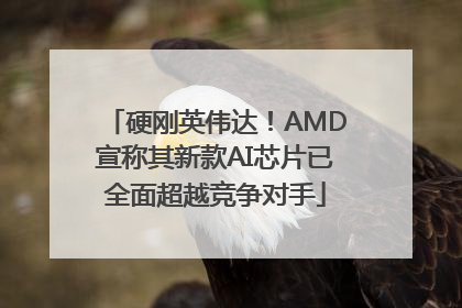 硬刚英伟达！AMD宣称其新款AI芯片已全面超越竞争对手