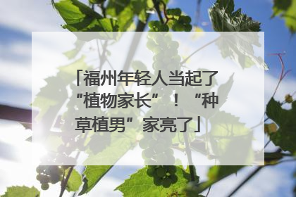福州年轻人当起了“植物家长”！“种草植男”家亮了