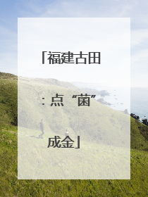 福建古田：点“菌”成金