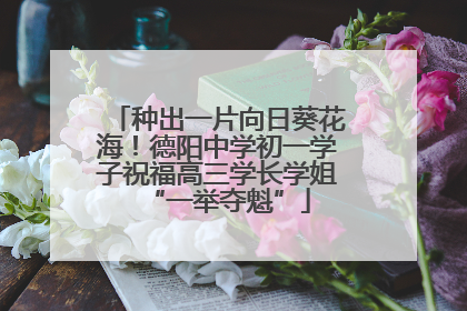 种出一片向日葵花海！德阳中学初一学子祝福高三学长学姐“一举夺魁”