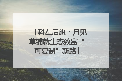 科左后旗：月见草铺就生态致富“可复制”新路