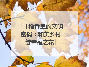 稻香里的文明密码：和美乡村绽幸福之花
