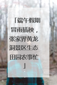 端午假期冒雨插秧，张家界黄龙洞景区生态田园农事忙