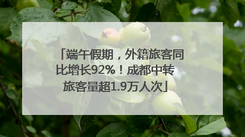 端午假期，外籍旅客同比增长92%！成都中转旅客量超1.9万人次