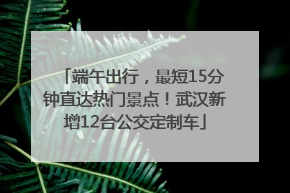 端午出行，最短15分钟直达热门景点！武汉新增12台公交定制车