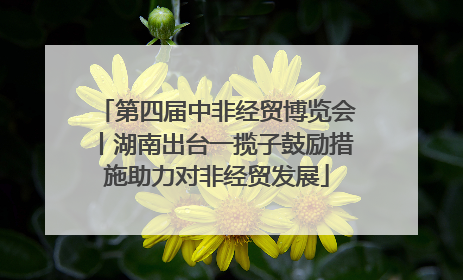 第四届中非经贸博览会丨湖南出台一揽子鼓励措施助力对非经贸发展