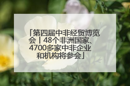 第四届中非经贸博览会丨48个非洲国家、4700多家中非企业和机构将参会