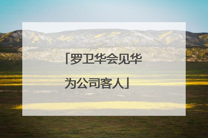 罗卫华会见华为公司客人