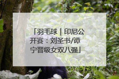羽毛球｜印尼公开赛：刘圣书/谭宁晋级女双八强