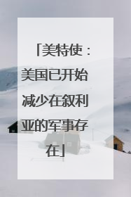 美特使：美国已开始减少在叙利亚的军事存在