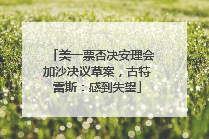 美一票否决安理会加沙决议草案，古特雷斯：感到失望