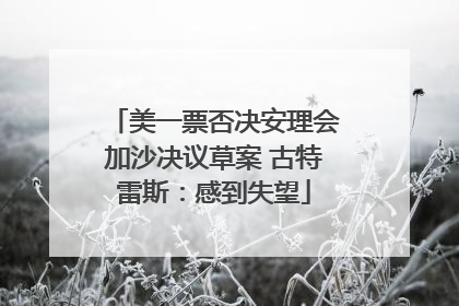 美一票否决安理会加沙决议草案 古特雷斯：感到失望