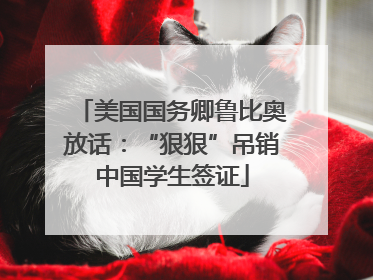 美国国务卿鲁比奥放话：“狠狠”吊销中国学生签证
