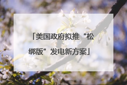 美国政府拟推“松绑版”发电新方案